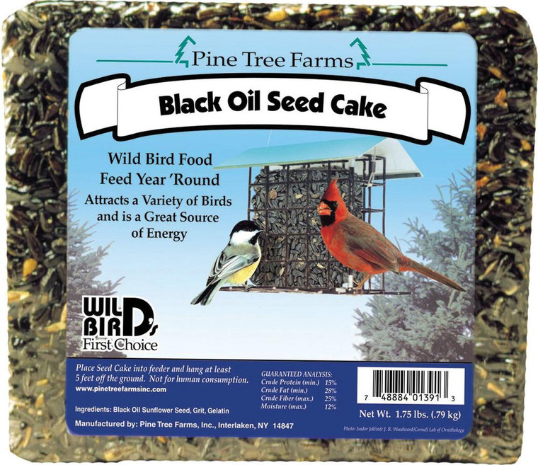 Black Oil Sunflower Seed Cake 386545