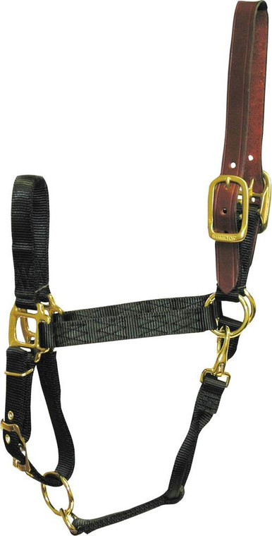 Adjustable Horse Halter With Leather Headpole 354869