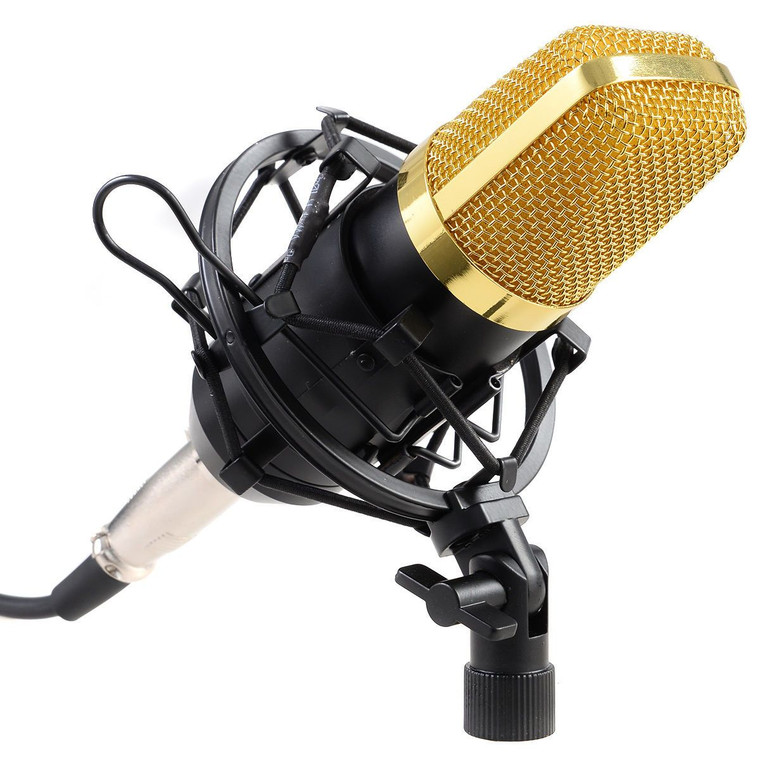 Professional Audio Condenser Microphone W/ Shock Mount EP22260