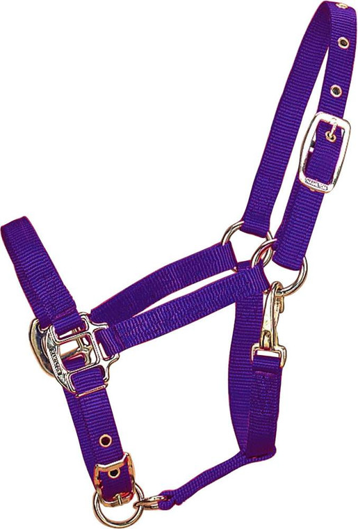 Adjustable Chin Horse Halter With Snap 349860