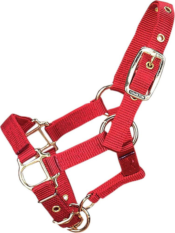 Adjustable Chin Horse Halter With Snap 347485