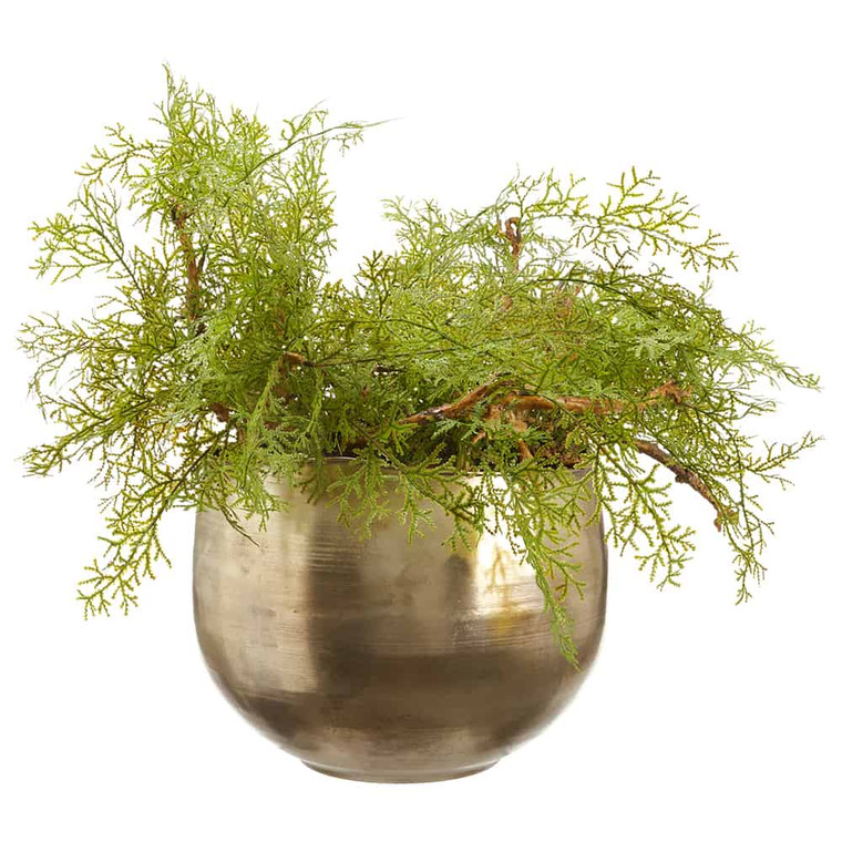 20.5"H X 28.5"W X 28.5"L Selaginella In Metal Pot Green WP8250-GR By Silk Flower