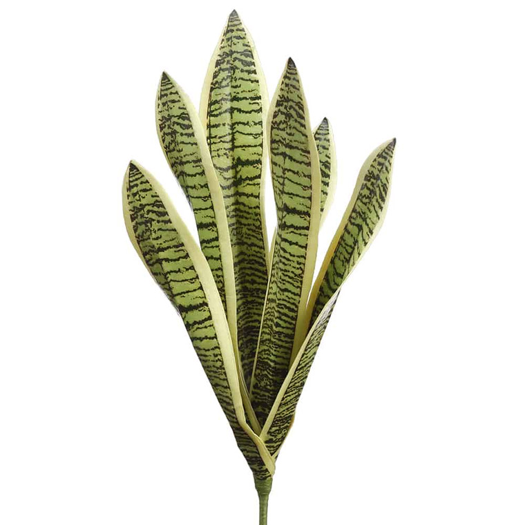 16" Sansevieria Plant Variegated (Pack Of 6) PPS302-VG By Silk Flower