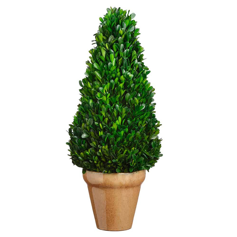 20.8" Preserved Boxwood Cone Topiary In Ceramic Pot Green APS146-GR By Silk Flower