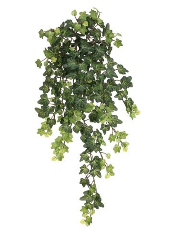 22.5" Lace Ivy Hanging Bush X13 With 303 Leaves Green (Pack Of 12) PBI800-GR By Silk Flower