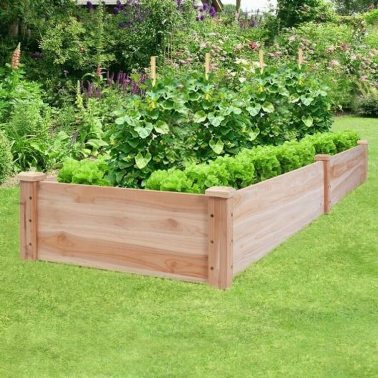 Wooden Vegetable Raised Garden Bed GT3528