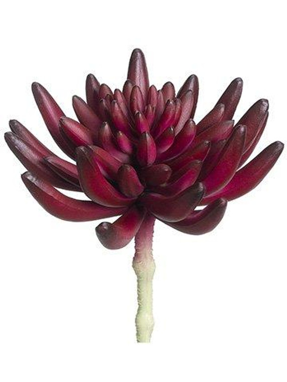 6"H X 3.5"D Soft Plastic Spike Aeonium Pick Burgundy 12 Pieces CA1468-BU