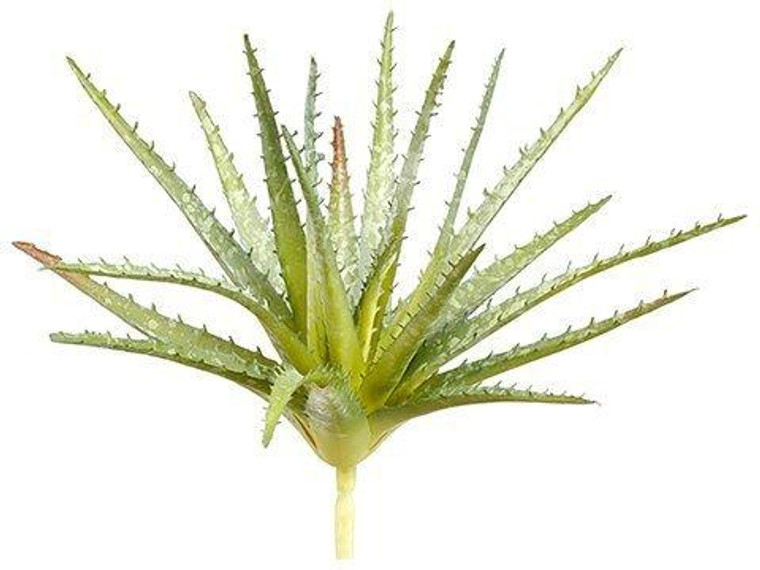 11" Soft Aloe Pick Green 24 Pieces CM3113-GR