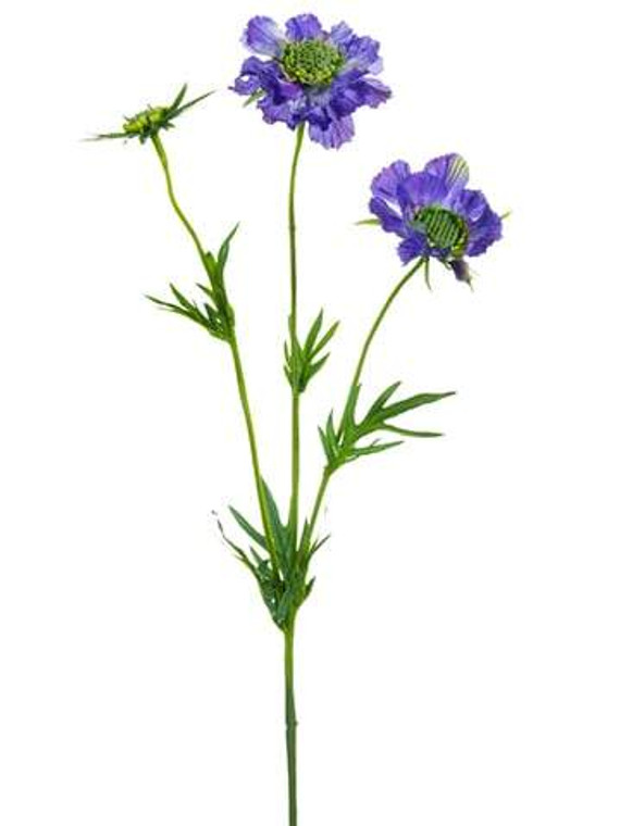 29" Real Touch Scabiosa Spray Helio 12 Pieces FSS329-HE