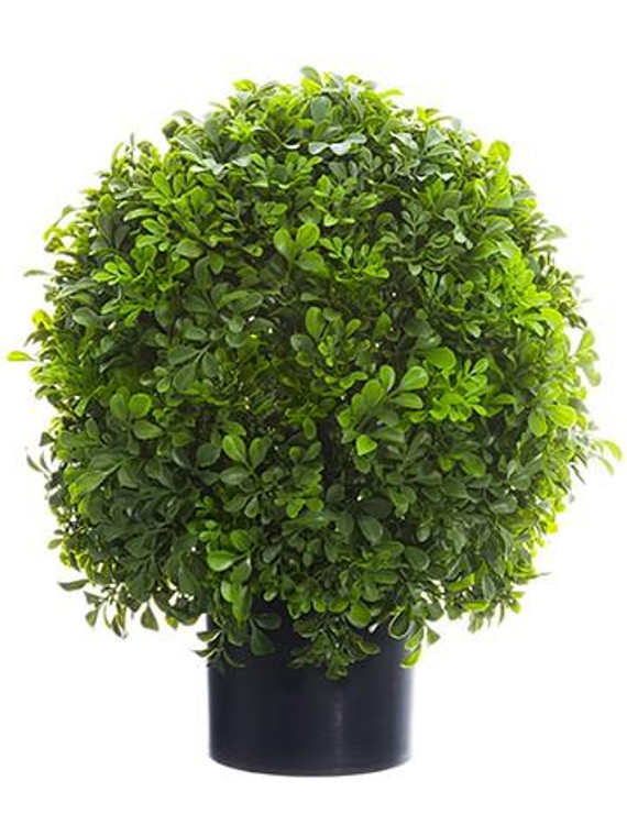 16" Boxwood Ball Topiary In Nursery Pot Green LPB323-GR