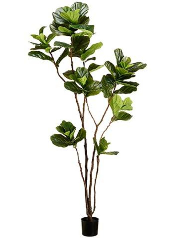7' Fiddle Leaf Tree In Pot Green 2 Pieces LTF007-GR