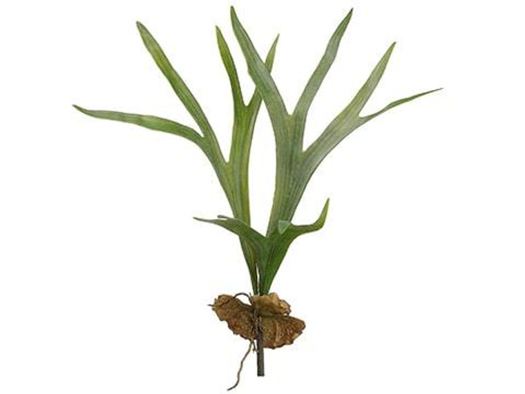 22.5" Staghorn Plant Green 6 Pieces PSS833-GR