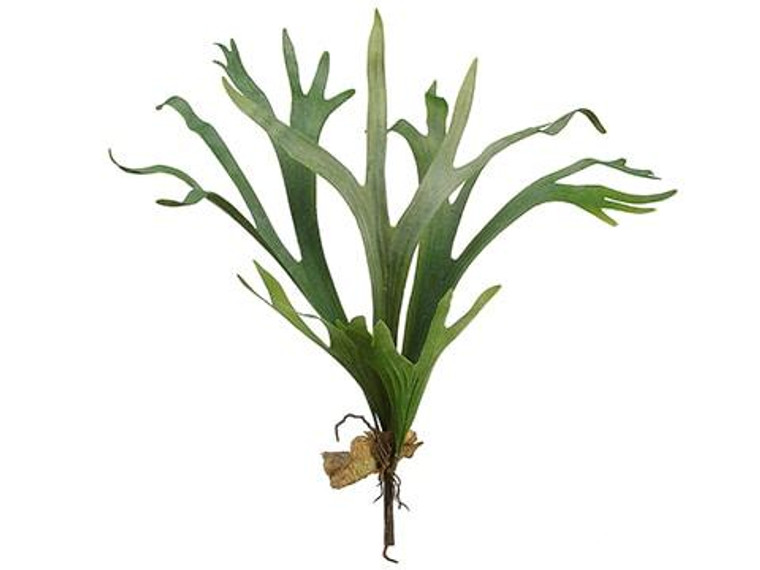 24.5" Staghorn Plant Green 4 Pieces PSS835-GR