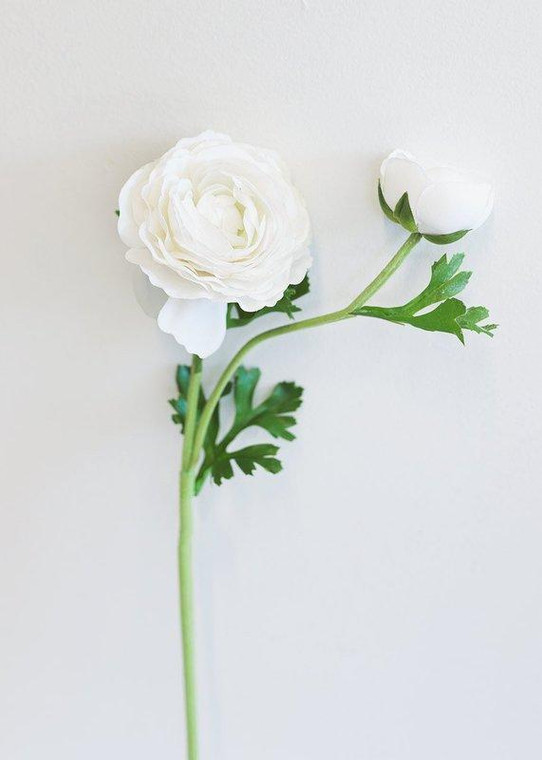 Real Touch Flowers White Silk Ranunculus REG-MTF21789-WHT By Afloral