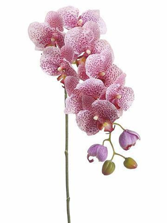 Real Touch Phalaenopsis Orchids In Pink Mauve - 28" Tall SLK-HSO471-LV/OC By Afloral