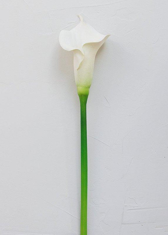 Real Touch Calla Lily In White FLO-SB110-WH By Afloral
