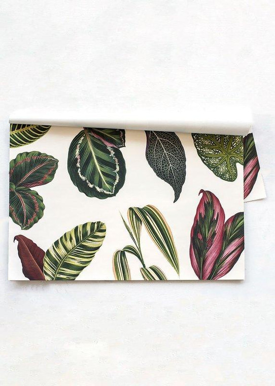 Pink Tropical Leaf Paper Placemats - 18.5" HCO-KP1122 By Afloral