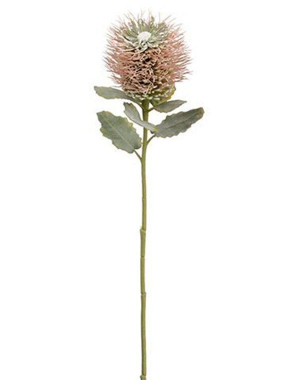 Tropical Faux Flowers Protea In Pink - 22" Tall SLK-FSP570-PK By Afloral