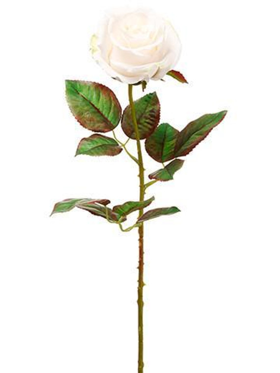 Ecuador Artificial Rose In Cream Blush - 20.5" Tall (Pack Of 3) SLK-HSR205-BS By Afloral