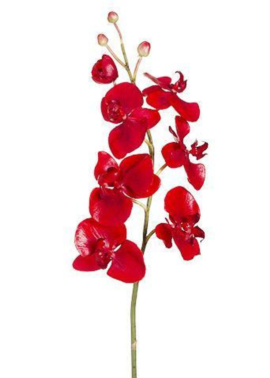 Artificial Phalaenopsis Orchid In Red - 38" Special SLK-HSO826-RE By Afloral