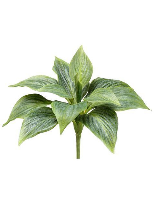 Plastic Outdoor Hosta Plant In Green - 8" Tall SLK-PBH308-GR By Afloral
