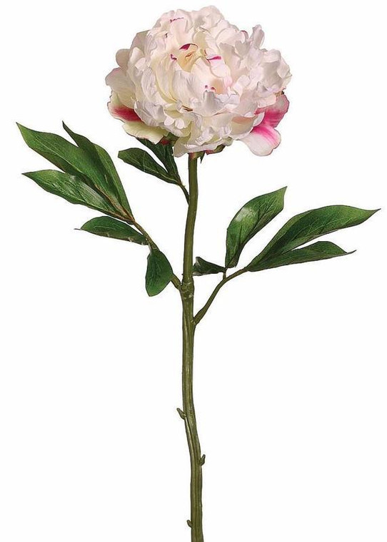 Artificial Peony Flower In White Fuchsia - 22" Tall X 6" Bloom SLK-FSP319-WH/BT By Afloral