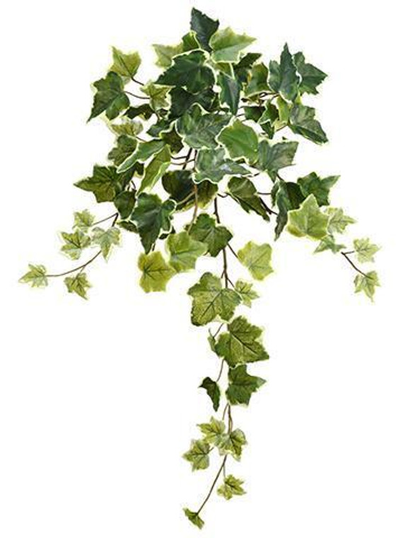Artificial Ivy Leaf Hanging Bush In Variegated Green - 22" Long (Pack Of 2) SLK-PBI270-VG By Afloral