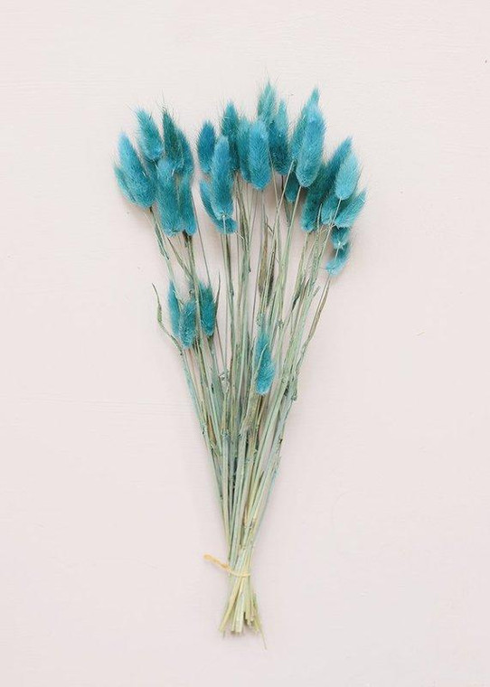 Turquoise Dried Bunny Tails OCH-42050-630 By Afloral