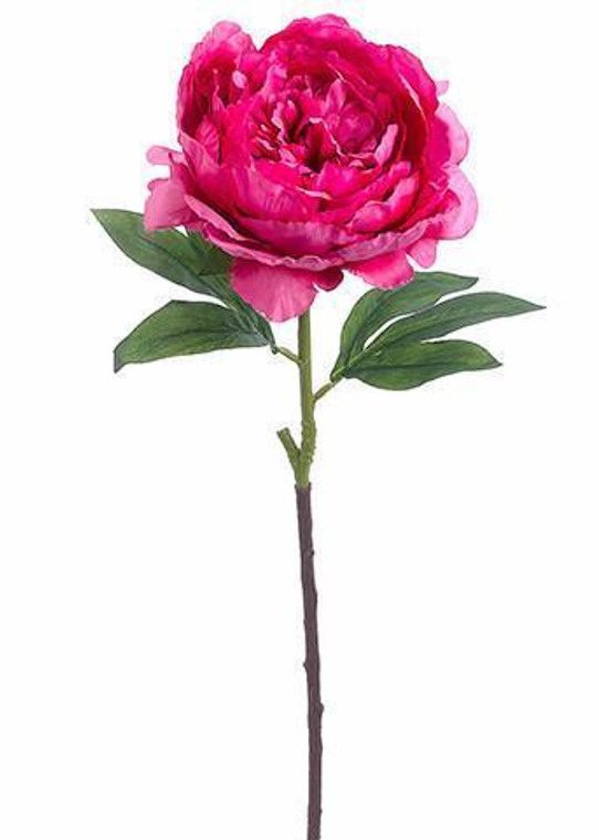 Silk Peony Flower In Hot Pink - 27" Tall SLK-FSP524-BT By Afloral