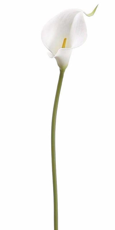 Real Touch Small Calla Lily In White (Pack Of 6) SLK-FSL070-WH By Afloral