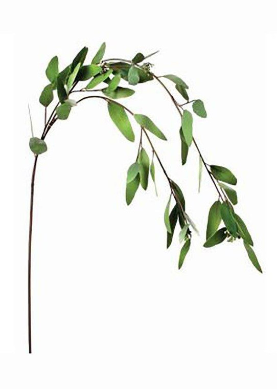 Real Touch Seeded Eucalyptus Weeping Branch - 52" Long REG-MTF21198-NAT By Afloral