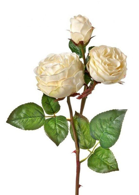 Natural Touch Artificial Roses In Cream Blush - 21" Tall REG-MTF21785-CRBL By Afloral