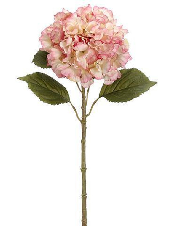 Pink Cream Oversized Hydrangea Artificial Flower - 8" Bloom (Pack Of 2) SLK-FSH211-RO/CR By Afloral
