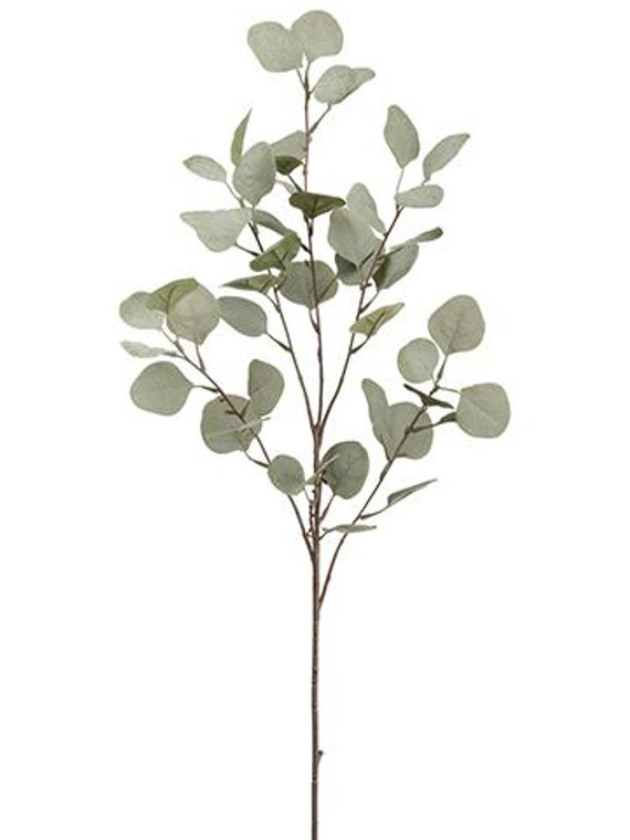Dusty Grey Fake Silver Dollar Eucalyptus - 36.5" Tall SLK-PSE191-GR/GY By Afloral