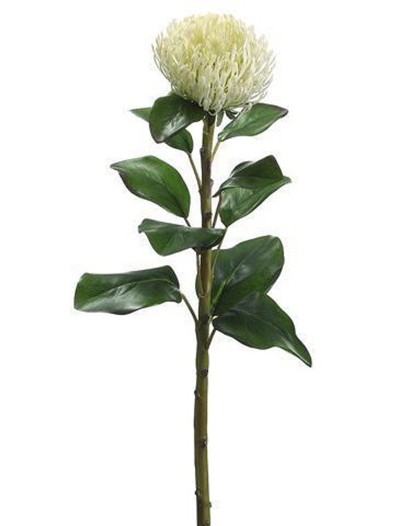 Artificial Tropical Flowers Needle Protea In White SLK-HSP370-WH By Afloral