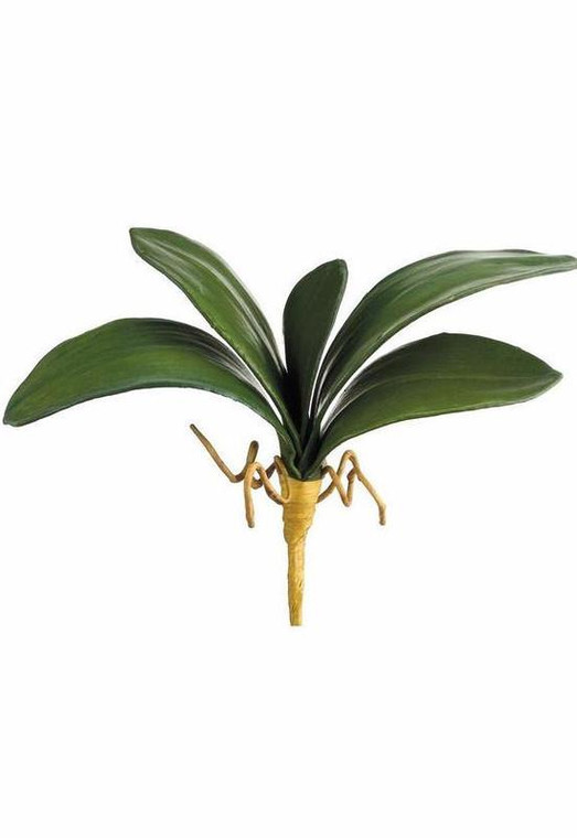 Artificial Phalaenopsis Orchid Leaves - 9" (Pack Of 2) SLK-QSL719-GR By Afloral