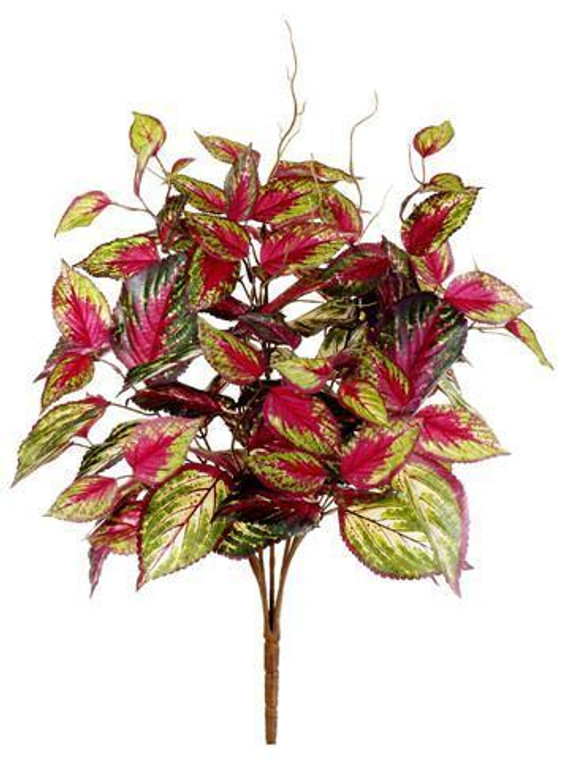 Artificial Coleus Bush In Fuchsia Hot Pink And Green - 20" Tall SLK-PBC522-PK/GR By Afloral