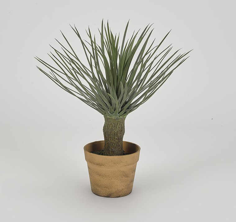 15" Potted Whipple Yucca Plant G R2041 By DW Silks