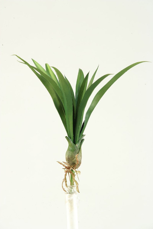 15" Green Lily Grass With Bulb GR1784 By DW Silks