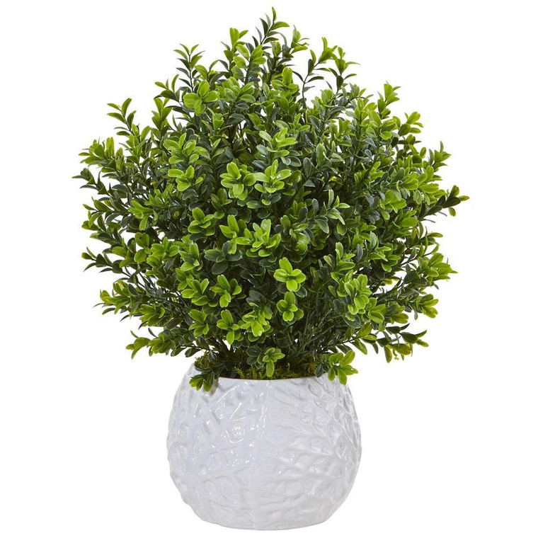 Nearly Natural Boxwood In White Vase (Indoor/Outdoor) 6310