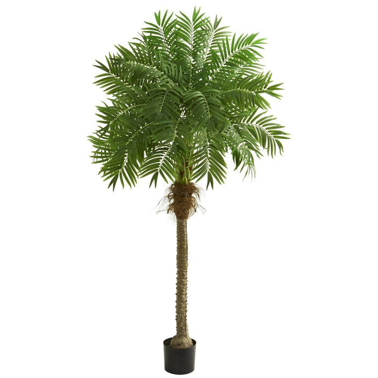 Nearly Natural 80" Robellini Palm Artificial Tree 5542