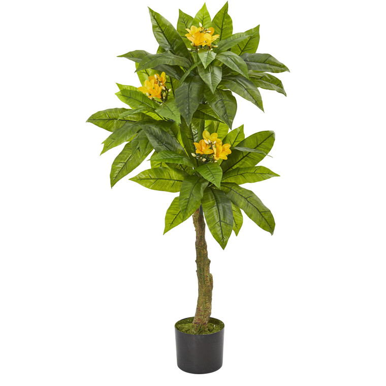 Nearly Natural 4' Plumeria Artificial Tree Uv Resistant (Indoor/Outdoor) 5509