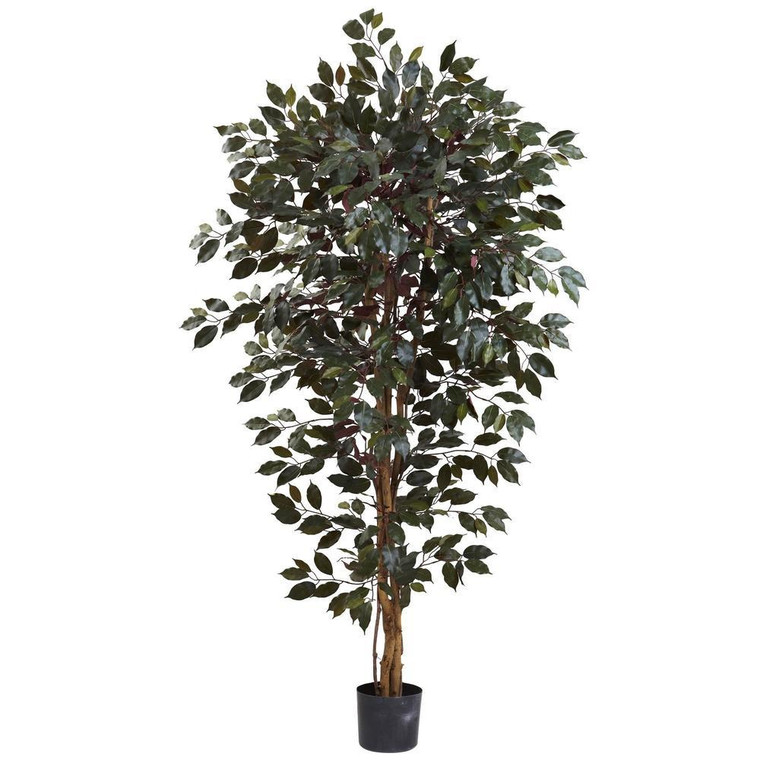 Nearly Natural 6' Capensia Ficus Tree X 3 W/1008 Lvs 5436