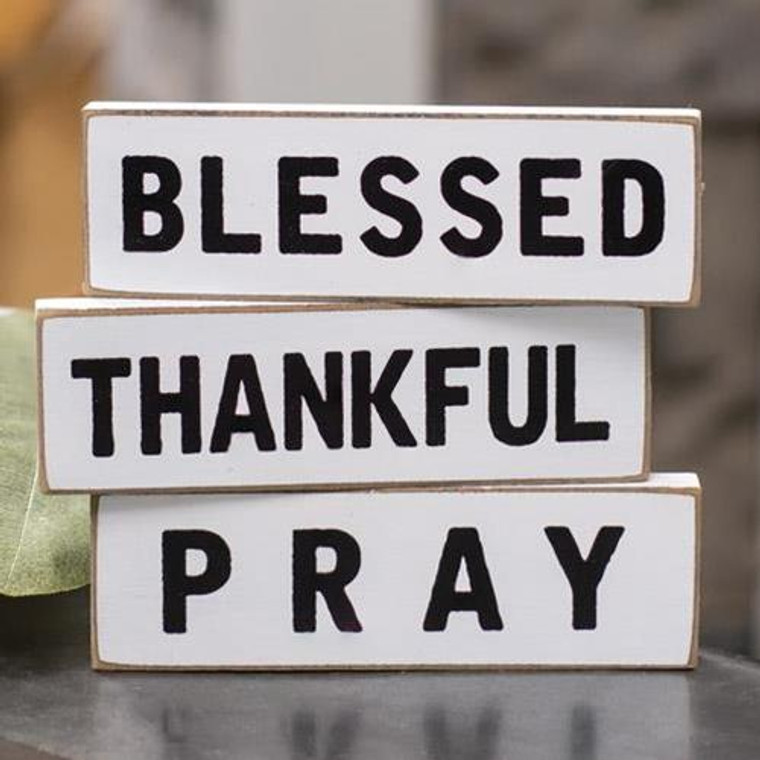 Thankful Mini Block 3 Asstd. (Pack Of 3) G35163 By CWI Gifts