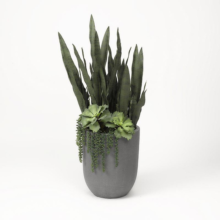 Sensaveria Plant With Echeveria And Cedum In Round Grey Planter 319107 By DW Silks