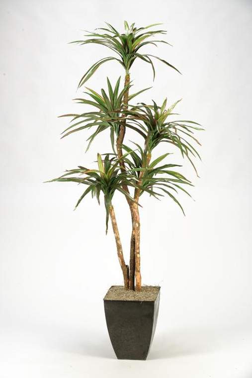 6.5' Dracaena Palm In Square Metal Planter 316105 By DW Silks