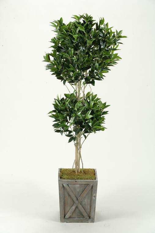 Shikaba Topiary In Weathered Wooden Box Planter 314702 By DW Silks