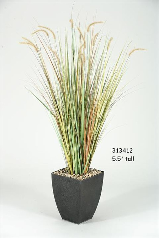 5.5' Onion Grass In Square Metal Planter 313412 By DW Silks