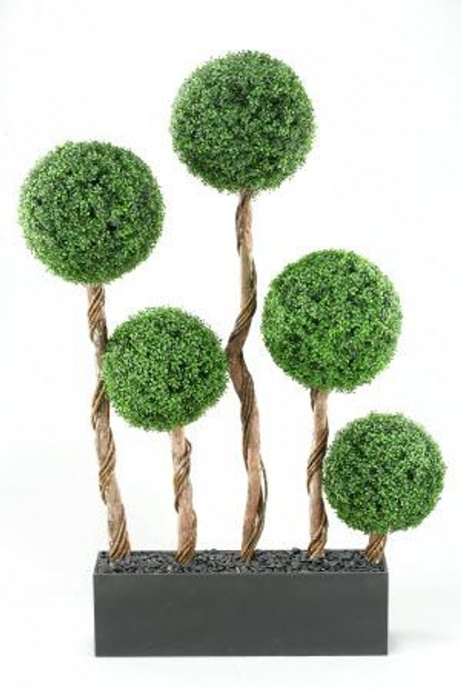 6.5' Boxwood Ball Screen In Rectangle Planter 312133 By DW Silks