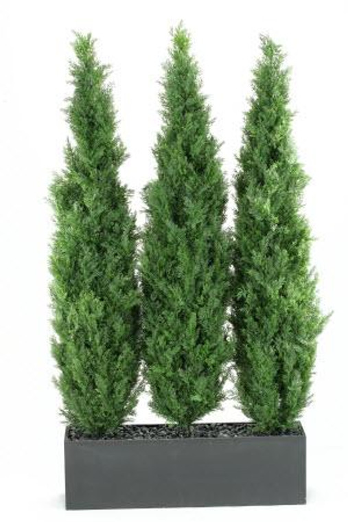 6' Cedar Tree Screen In Rectangle Planter - Indoor/Outdoor 312102 By DW Silks